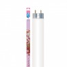 Arcadia Classica Tropical Sunlight T8 Lamp