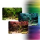 Fluval Aquasky LED 12w 38-61cm